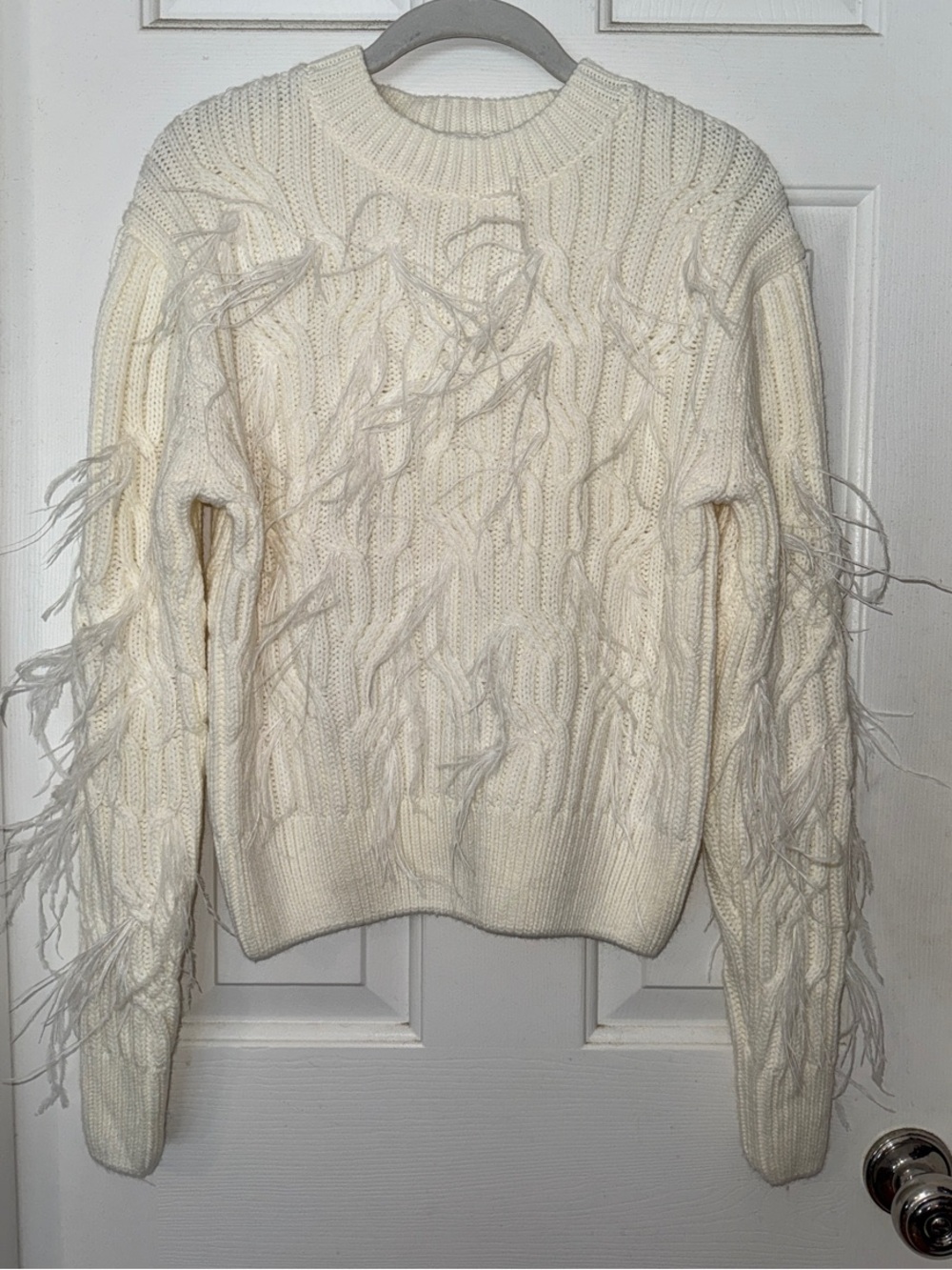Astr Crewneck Sweater with Feather’s